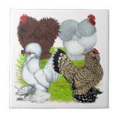 脚チャボの羽 タイル (正面)