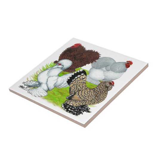 脚チャボの羽 タイル (側面)