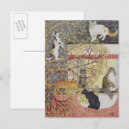 脚光を浴びて ポストカード (正面/裏面)