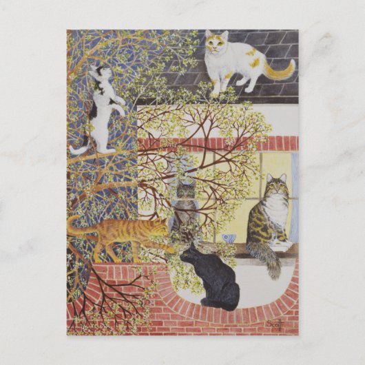 脚光を浴びて ポストカード (正面)