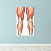 脚前面の筋肉グループを示す図 キャンバスプリント (インサイチュ (ウッドフロア))