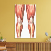 脚前面の筋肉グループを示す図 キャンバスプリント (インサイチュ (リビング))