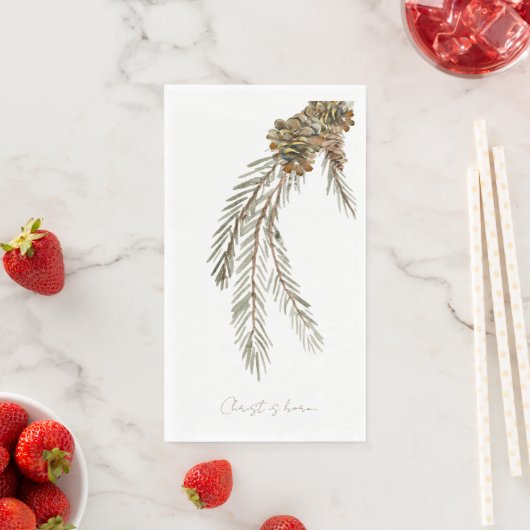 脚本は生まれ松円錐白 (インサイチュ)