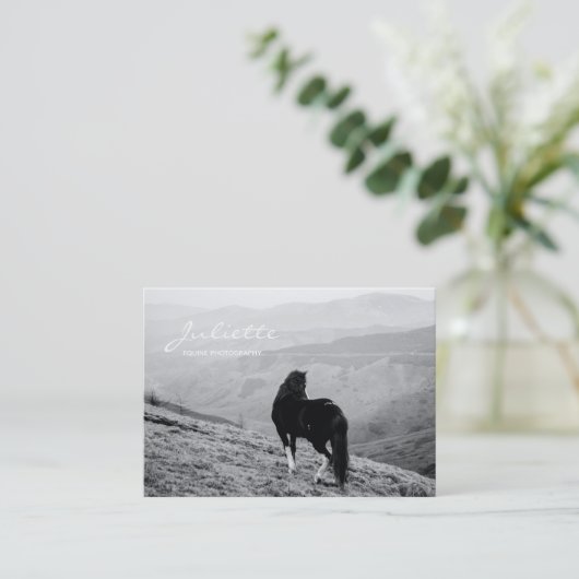 脚本モダン白黒馬ウマ科の撮影 名刺 (スタンド正面)