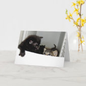 脱出する子猫グリーティングカード カード (黄色い花)