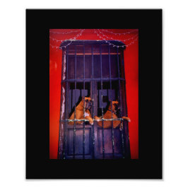 脱出計画 フォトプリント           