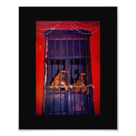 脱出計画 フォトプリント            (正面)