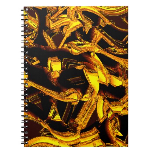 脱水蜜皮の片又はバガス ノートブック (正面)