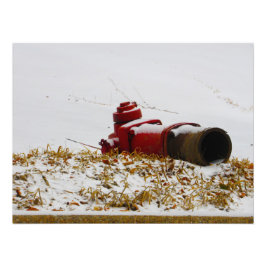 「脱水」 フォトプリント           