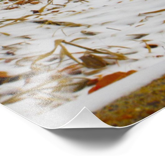 「脱水」 フォトプリント            (角)