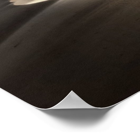 脱水 ポスター (角)