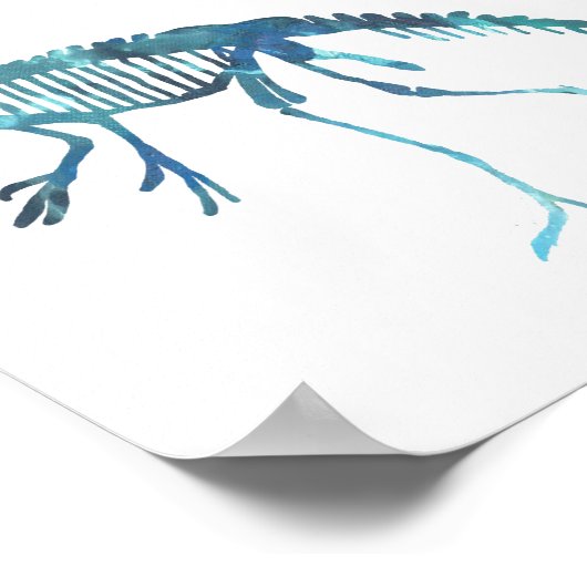 脱爪（症）骨格 ポスター (角)