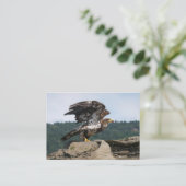 脱獄の準備ができているBald Eagle – 名刺 (スタンド正面)