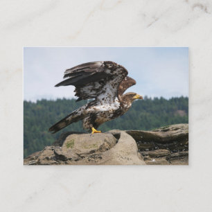 脱獄の準備ができているBald Eagle – 名刺
