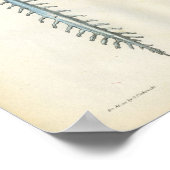 脳と脊髄の解剖学プリント ポスター (角)