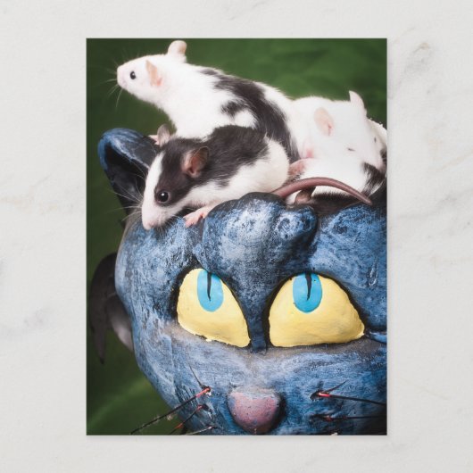 脳のはがきにネズミ ポストカード (正面)