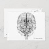 脳のワイヤフレーム ポストカード (正面/裏面)