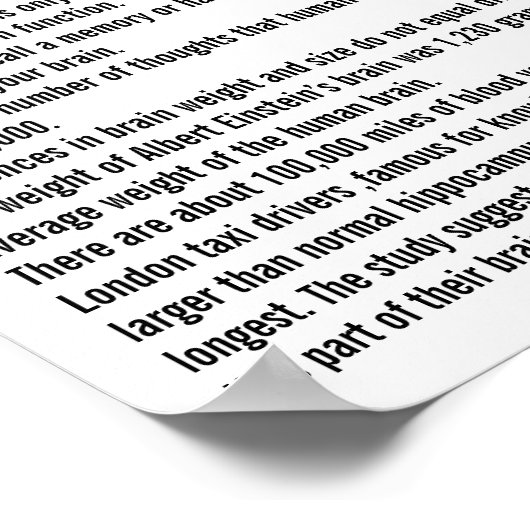 脳の事実 ポスター (角)