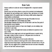 脳の事実 ポスター (正面)