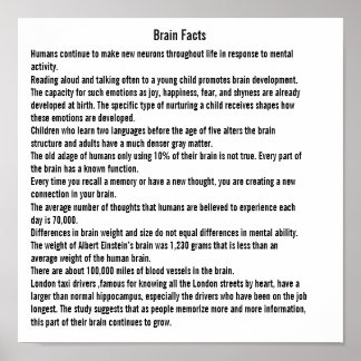 脳の事実 ポスター