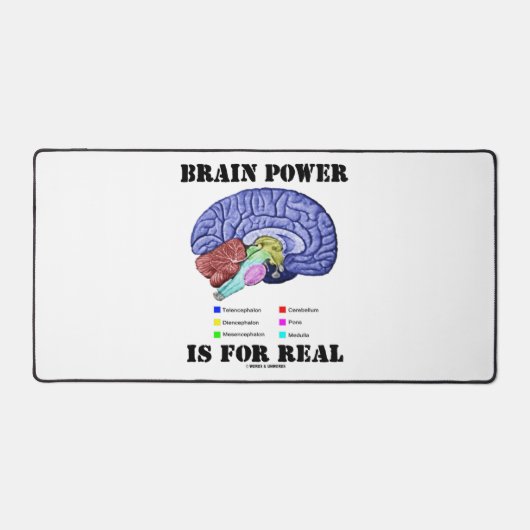 脳の力は脳の解剖学的実在姿勢のためである デスクマット (正面)