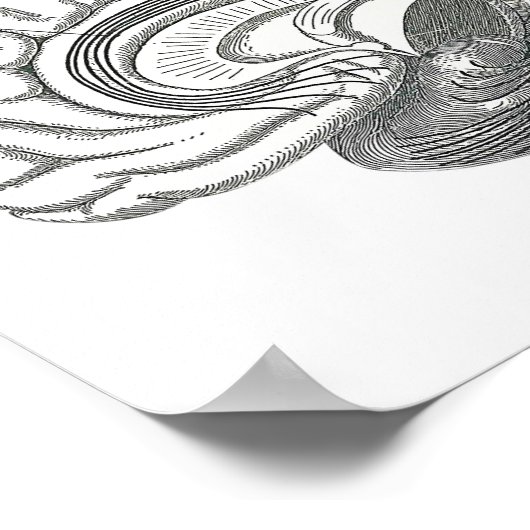 脳の白質斑 ポスター (角)