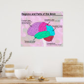 脳の領域と部分 ポスター (キッチン)
