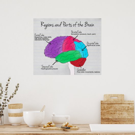 脳の領域と部分 ポスター (キッチン)