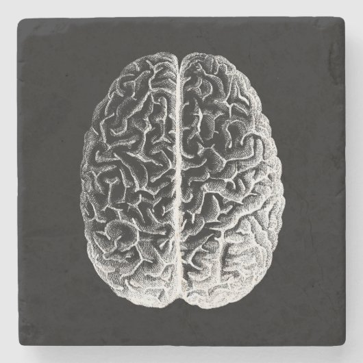脳め！ ストーンコースター (正面)