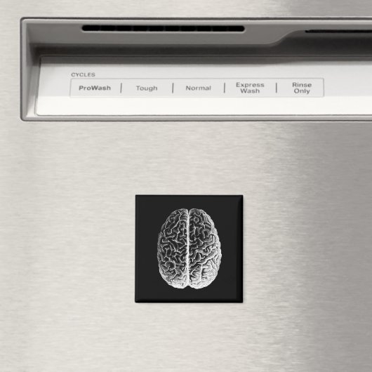 脳め！ マグネット (インサイチュ (食洗機))
