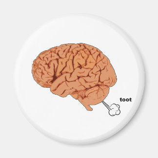 脳ファルト マグネット