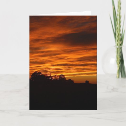 脳外科へこみハロー詩カード サンキューカード (正面)