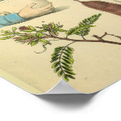 脳外科ヘッド解剖学アートドクタープリント ポスター (角)