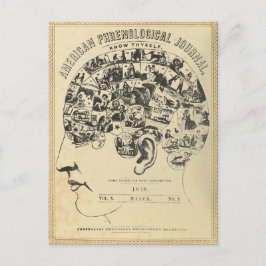 脳学: 己を知れ (ポストカード) ポストカード