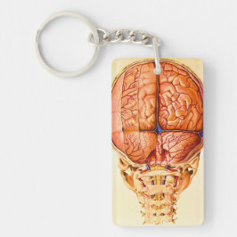 脳底及び髄膜リトグラフ キーホルダー