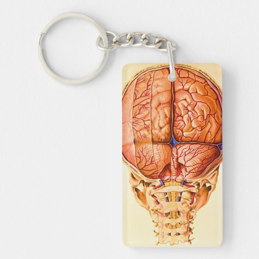 脳底及び髄膜リトグラフ キーホルダー (正面)