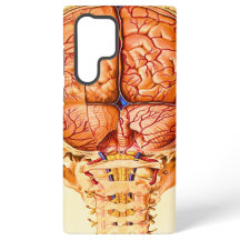 脳底及び髄膜リトグラフ