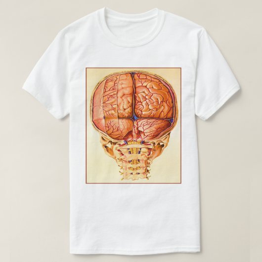 脳底及び髄膜リトグラフ Tシャツ (デザイン正面)