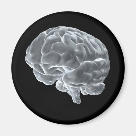 脳得みそだ！ マグネット (正面)