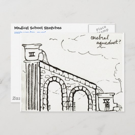 脳水道はがき ポストカード (正面/裏面)