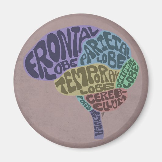 脳磁石 マグネット (正面)