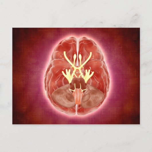 脳神経概念像 ポストカード (正面)