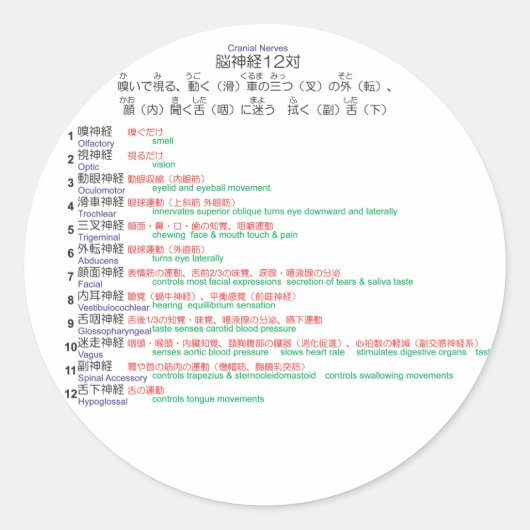 脳神経12 ラウンドシール (正面)