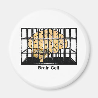 脳細胞 マグネット