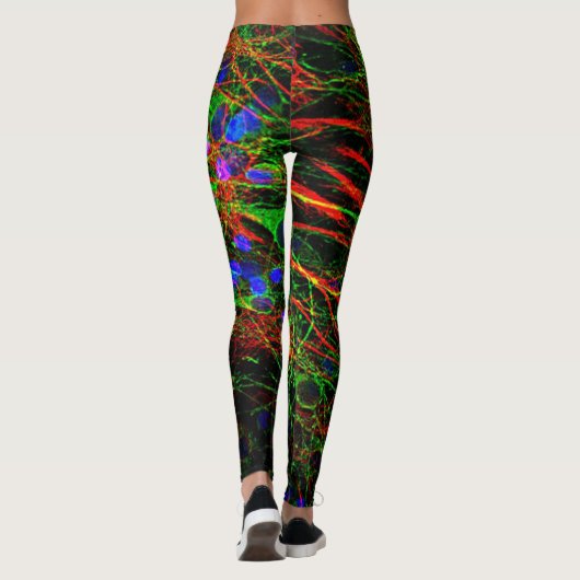 脳細胞 レギンス (裏面)