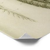 脳脊髄神経解剖学プリント ポスター (角)