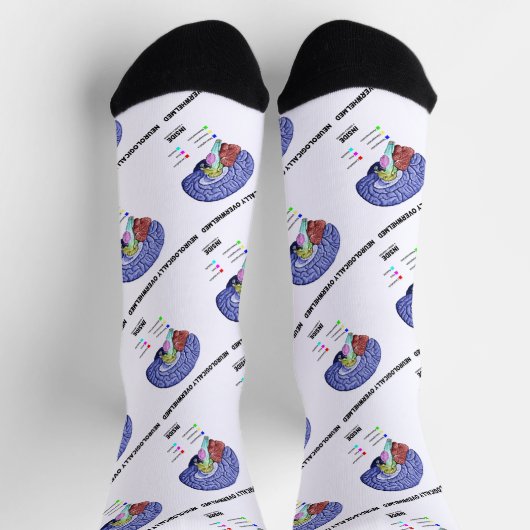 脳解剖学の中で神経学的に圧倒される ソックス (上部)