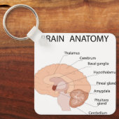 脳解剖学 キーホルダー (正面)