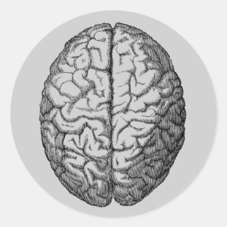 脳 ラウンドシール