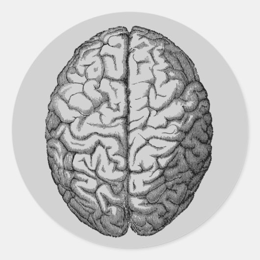 脳 ラウンドシール (正面)